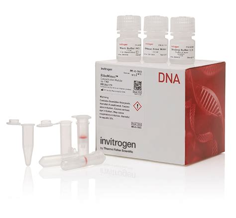 dna purification kit|Iba pa.
